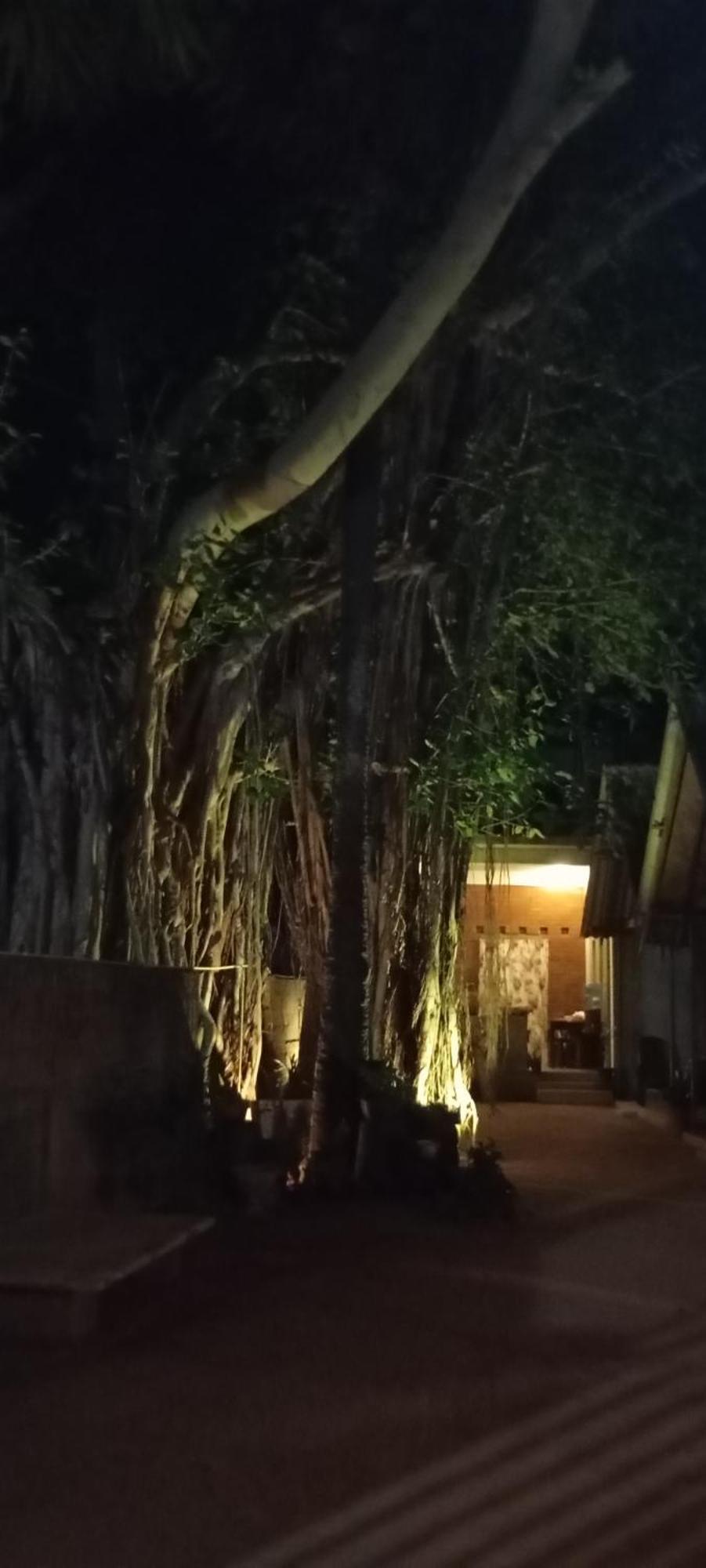 Cool Banyan Cabana Trincomalee Eksteriør billede