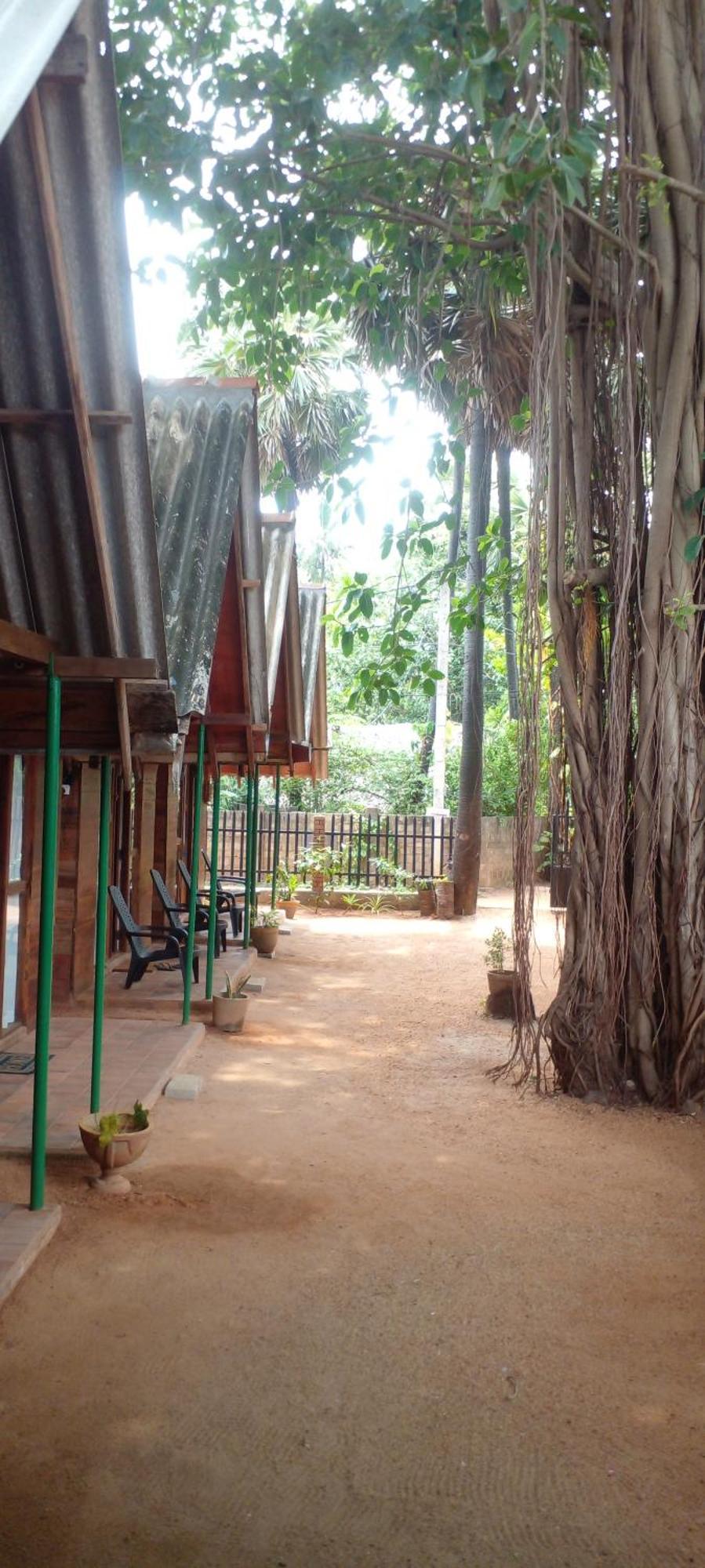 Cool Banyan Cabana Trincomalee Eksteriør billede
