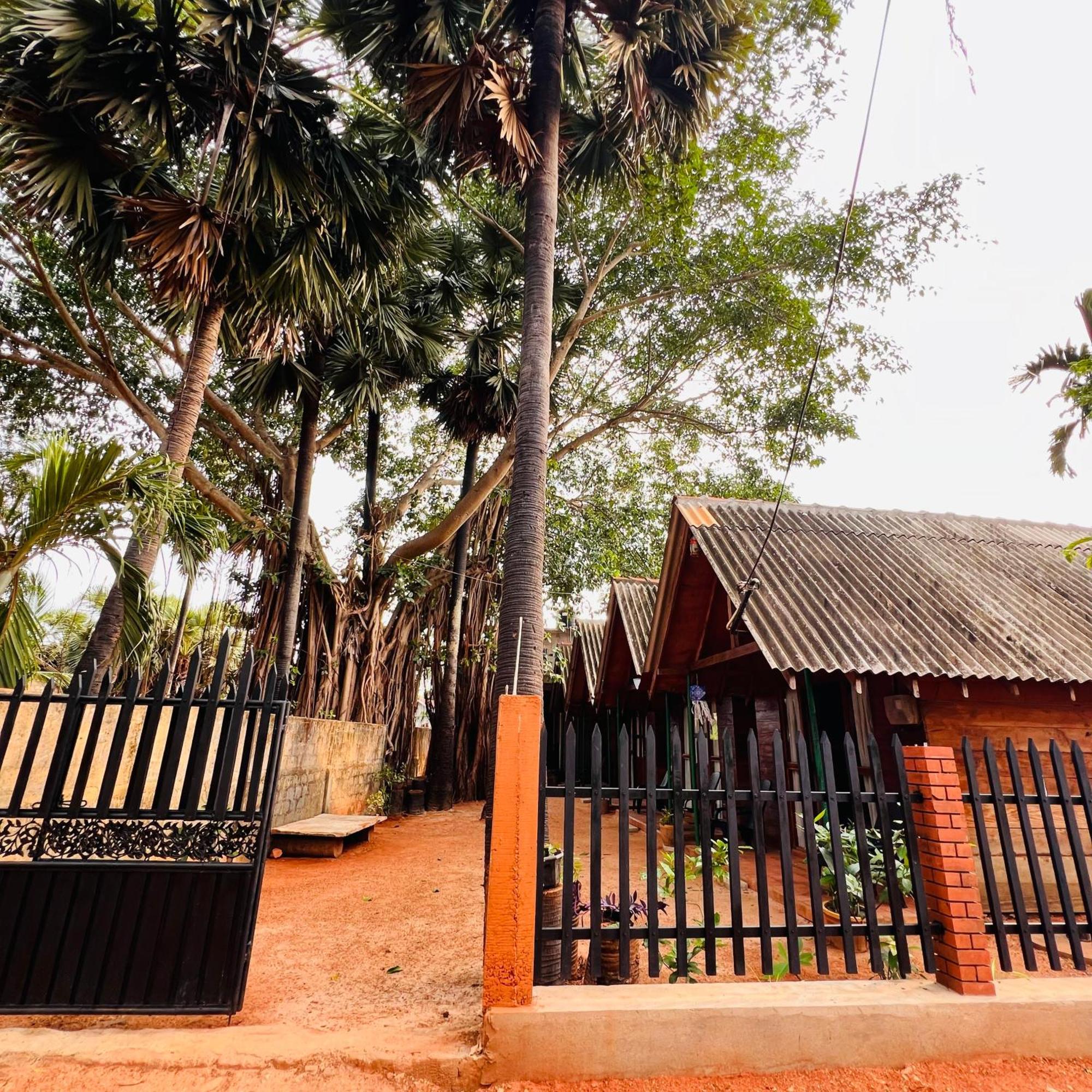 Cool Banyan Cabana Trincomalee Eksteriør billede