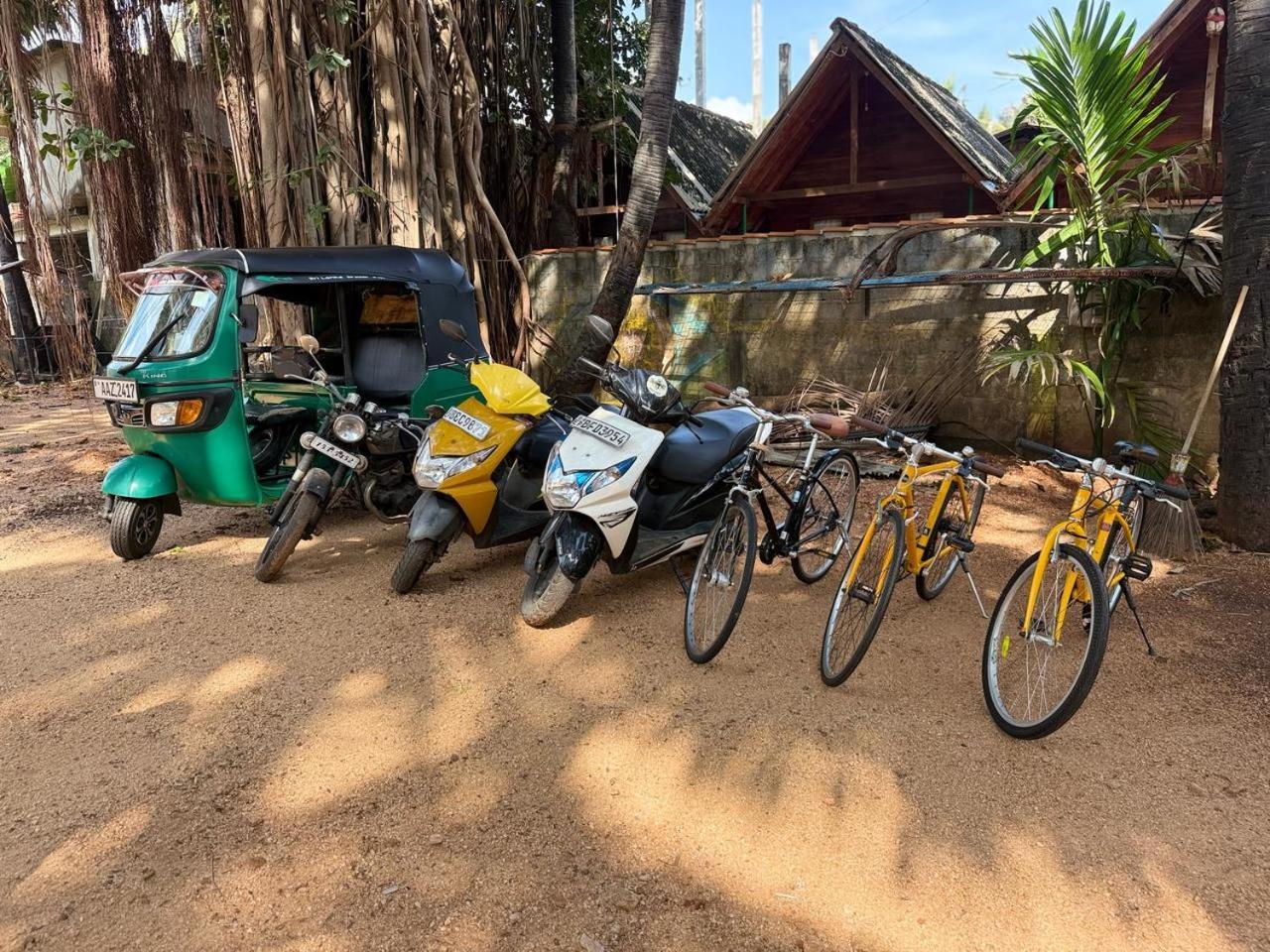 Cool Banyan Cabana Trincomalee Eksteriør billede